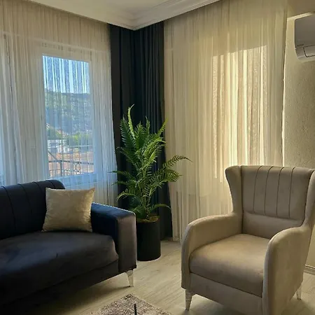 Turgutsluxury 1 * 费特希耶