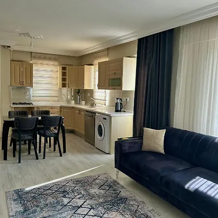 Turgutsluxury 1 公寓